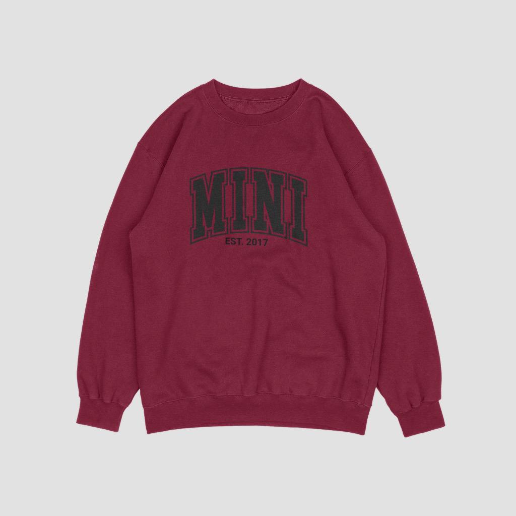 Mini College Print Sweatshirt for Youth | Comfy & Stylish Hoodie