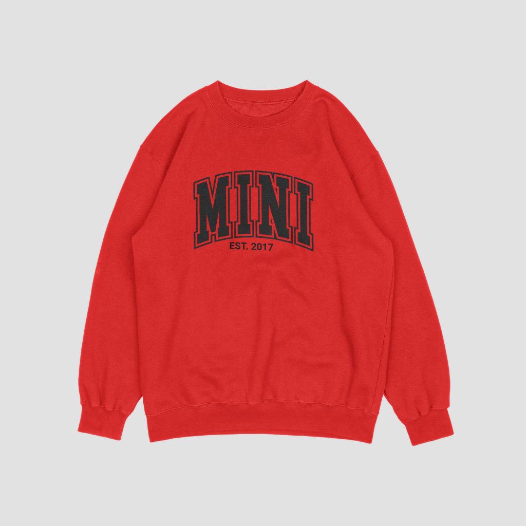 Mini College Print Sweatshirt for Youth | Comfy & Stylish Hoodie